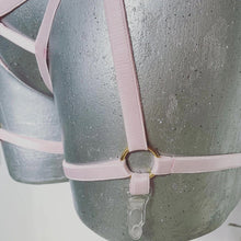 Cargar imagen en el visor de la galería, Primadona Rosa